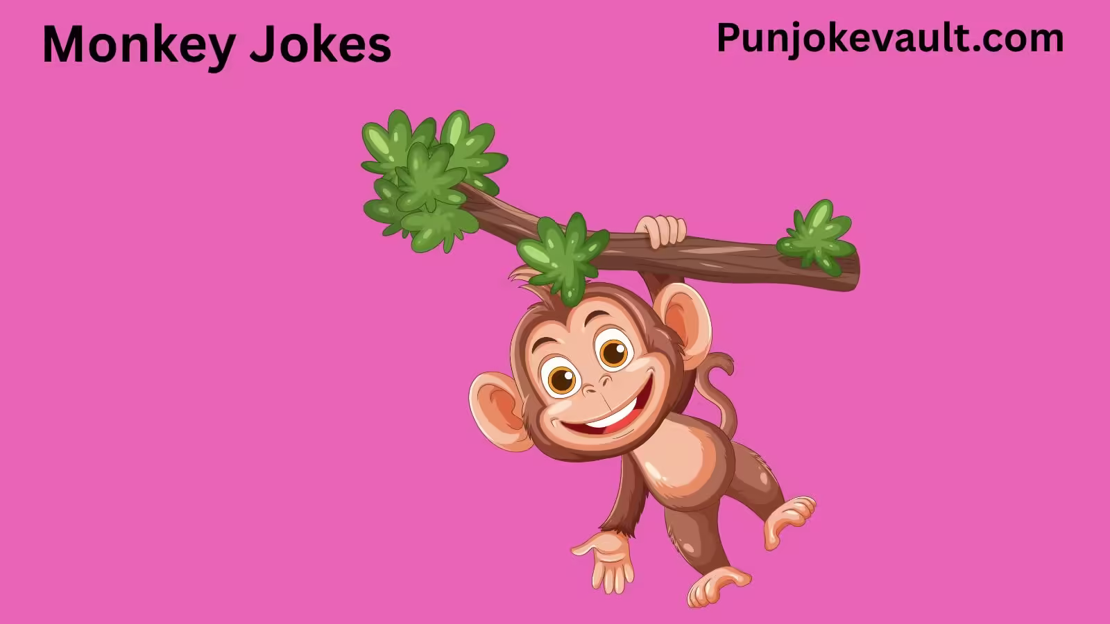 Monkey Jokes