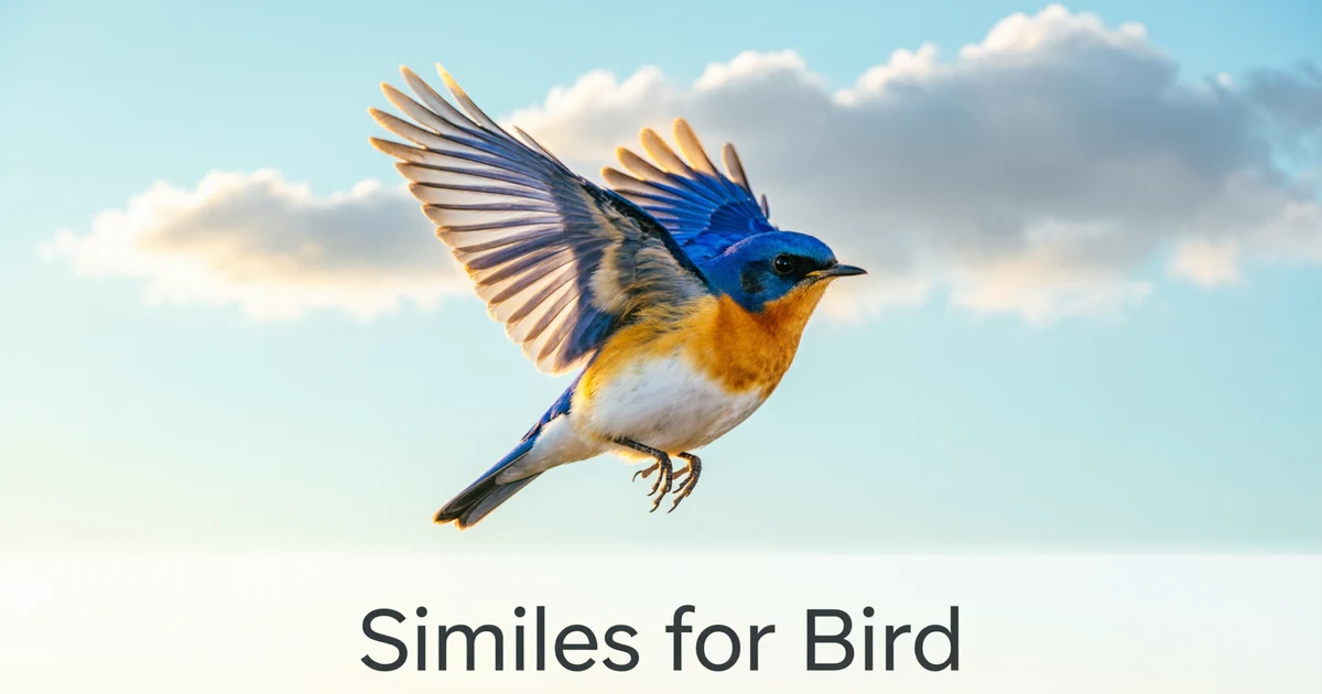 Similes for Bird