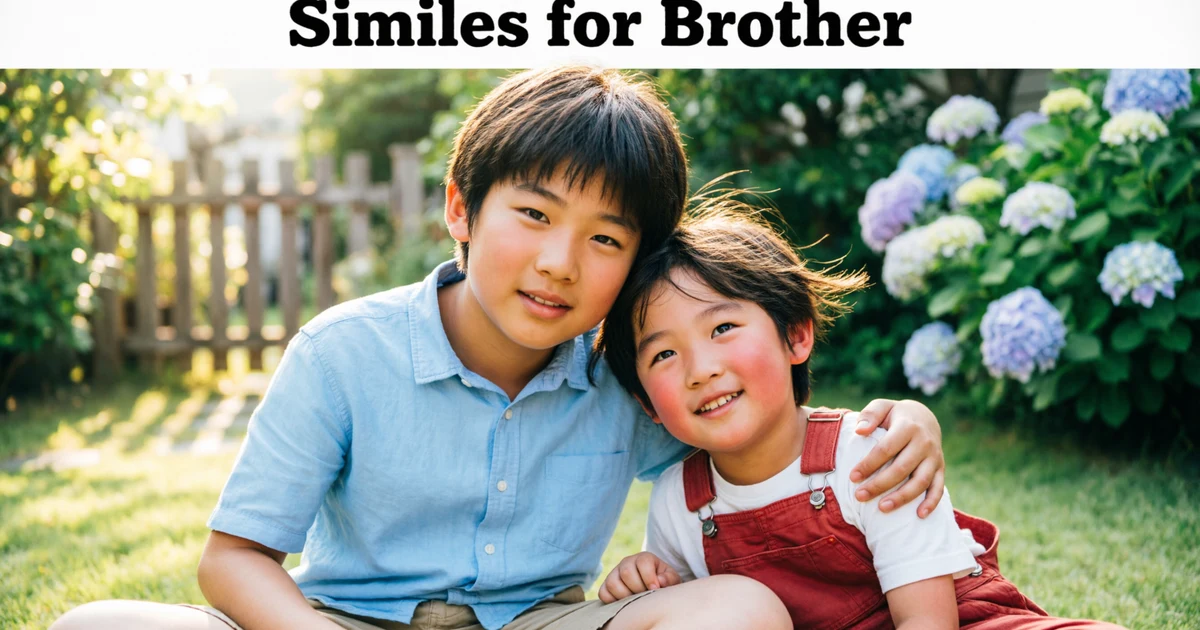 Similes for Brother