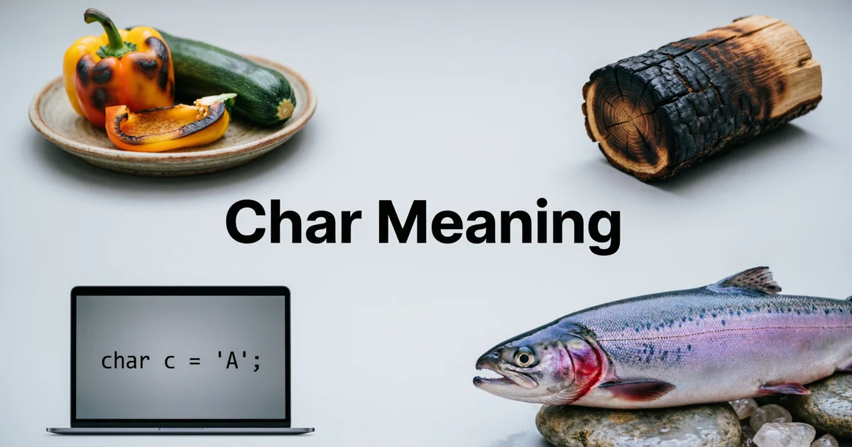 Char meaning explained with examples of cooking, fire, programming, and Arctic char